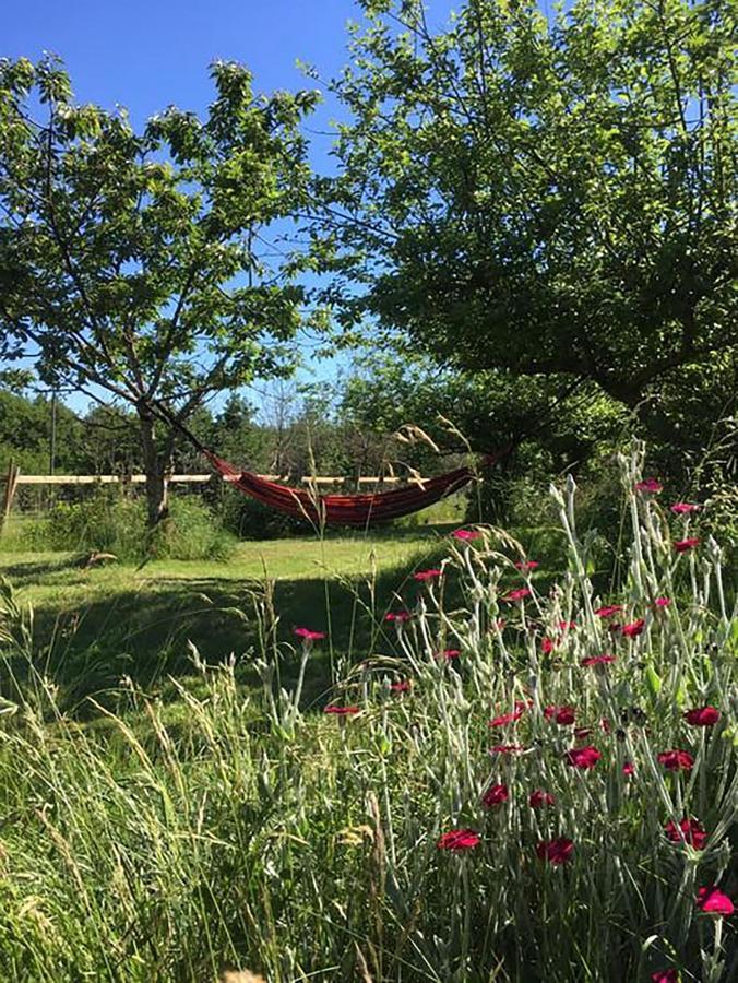 The Llama Farm France Saint-Cyr-Les-Champagnes Exterior photo