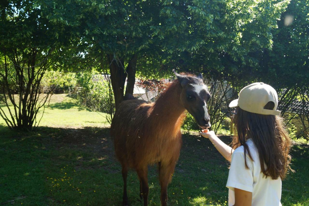 The Llama Farm France Saint-Cyr-Les-Champagnes Exterior photo