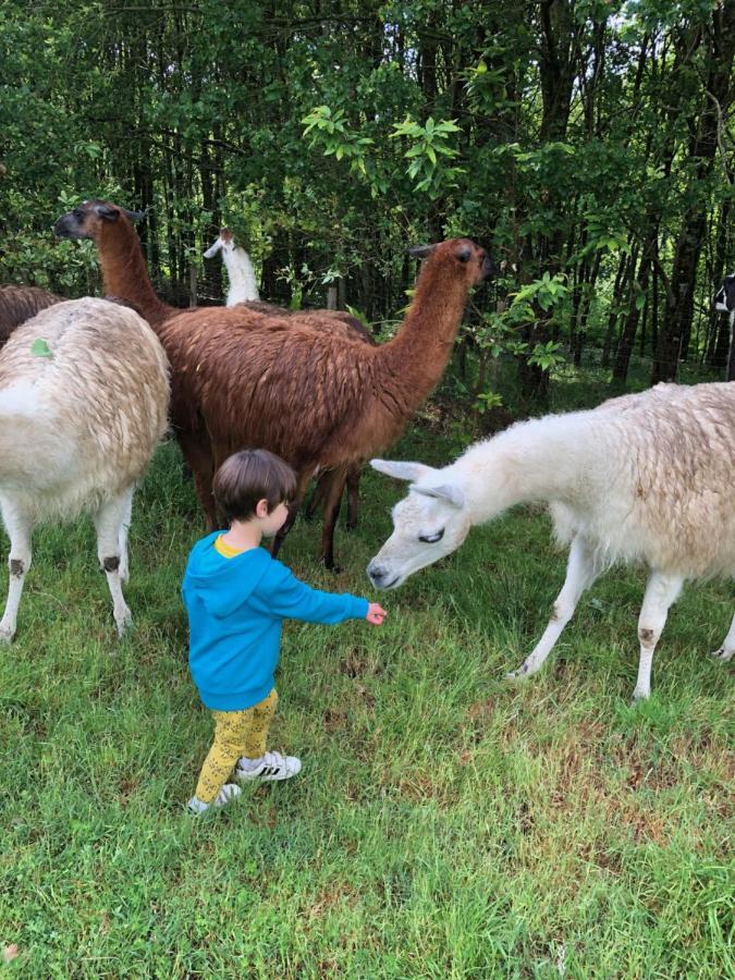 The Llama Farm France Saint-Cyr-Les-Champagnes Exterior photo