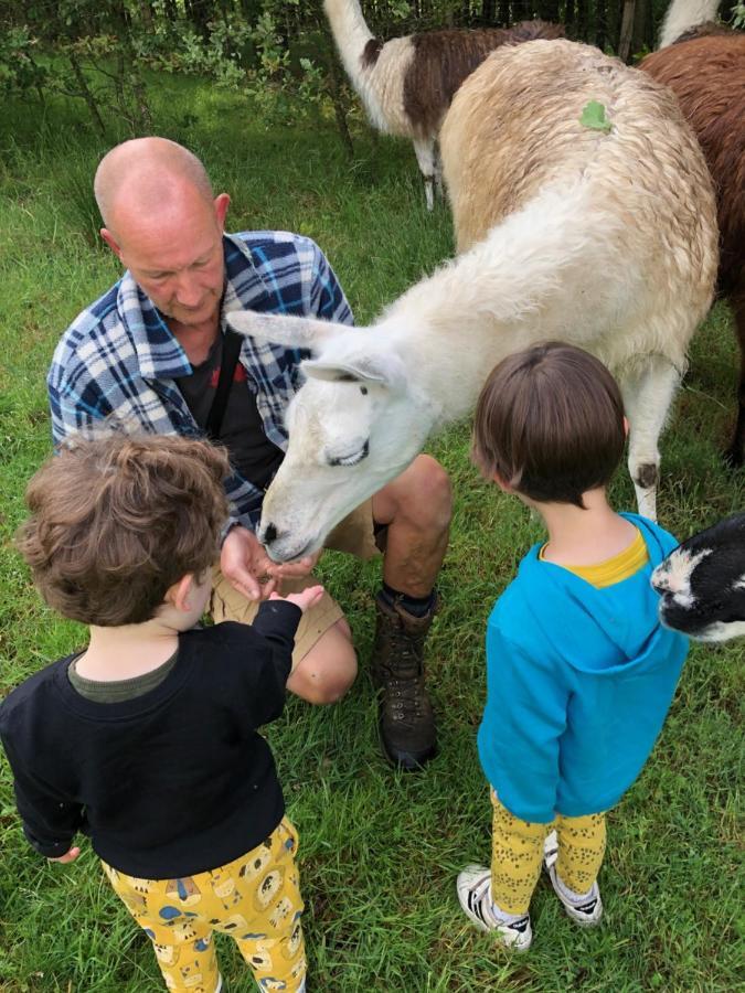 The Llama Farm France Saint-Cyr-Les-Champagnes Exterior photo